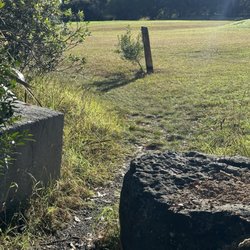 Haruru Falls - Rock before passing golf course