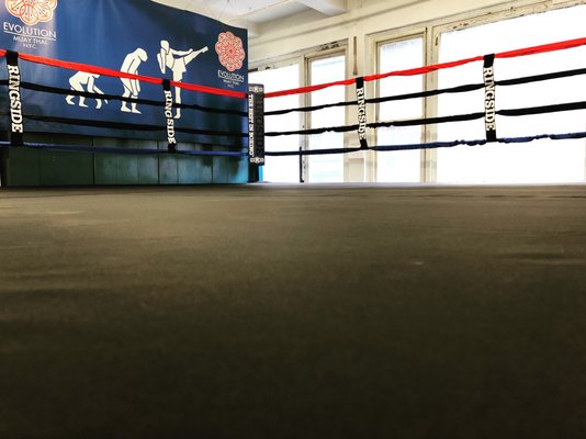 Evolution Muay Thai by null