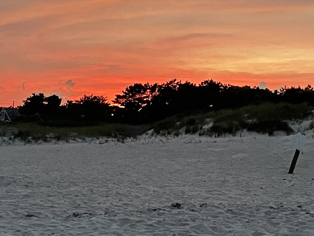 CONESTOGA TOURS Updated September 2024 1619 Manheim Pike, Lancaster, Pennsylvania Tours