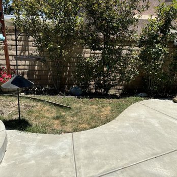 Ortiz Lawn Service - Before - Lawn Services Near Me Ortiz Lawn Service - Before - Lawn Services Near Me