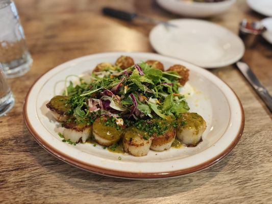 Calico Fish House by null