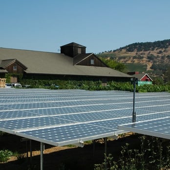 Frog's Leap Winery - Wineries Near Me - Rutherford, California