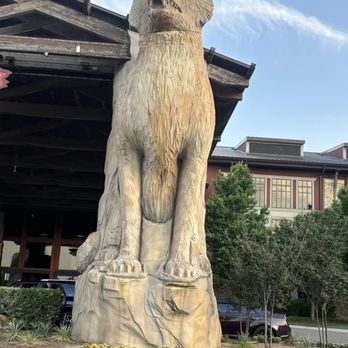 Great Wolf Lodge - Resorts Near Me - Grapevine, Texas