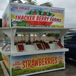 Thacker Berry Farms - Come by and get a taste of the sweetest Strawberries on earth!! Fresh picked daily Non-GMO! Vine-ripened