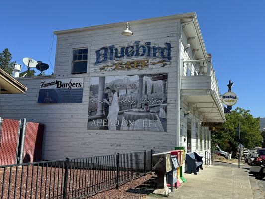 Bluebird Cafe by null
