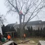 Photo of K&J Tree Service