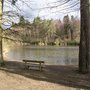 Photo of bedgebury forest