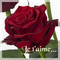 Au Chant des Fleurs