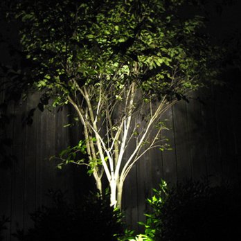 Cut Above Landscaping and Irrigation - Landscaping lighting - Landscaping Near Me - Cypress, Texas Cut Above Landscaping and Irrigation - Landscaping lighting - Landscaping Near Me - Cypress, Texas