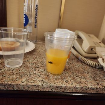 Quality Inn & Suites - Hotels Near Me - Walnut, California Quality Inn & Suites - Hotels Near Me - Walnut, California