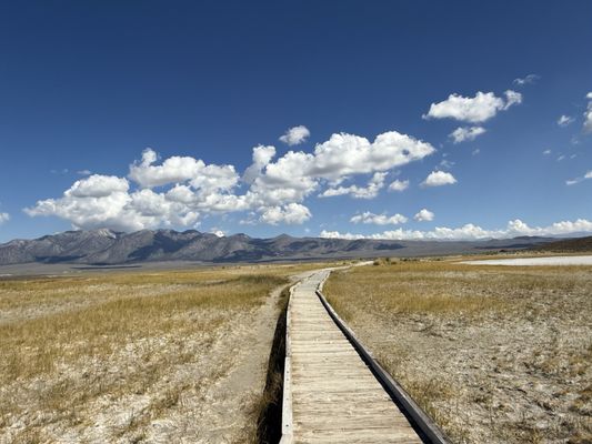 Wild Willy's Hot Spring by null