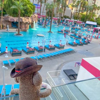 Flamingo Las Vegas - Fun pool area. - Hotels Near Me - Las Vegas, Nevada