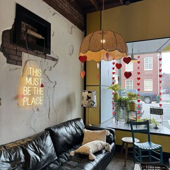 Highline Bake Shop - a black leather couch with a dog on it - Bakeries Near Me - Dalton, Georgia Highline Bake Shop - a black leather couch with a dog on it - Bakeries Near Me - Dalton, Georgia