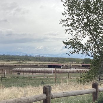 12 Mile Stables - Horseback Riding Near Me - Aurora, Colorado