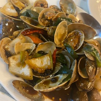 Neo Szechuan - clams in black bean sauce - Szechuan Near Me - Albuquerque, New Mexico Neo Szechuan - clams in black bean sauce - Szechuan Near Me - Albuquerque, New Mexico