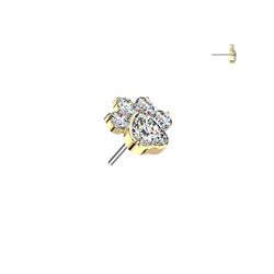 Prickly Pear Piercing Studio