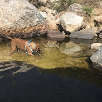 Tanque Verde Falls Trail - Puppy friendly - Hiking Near Me - Tucson, Arizona