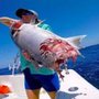 Photo of Lil Darlin Charters