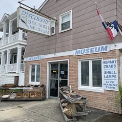 Discovery Seashell Museum