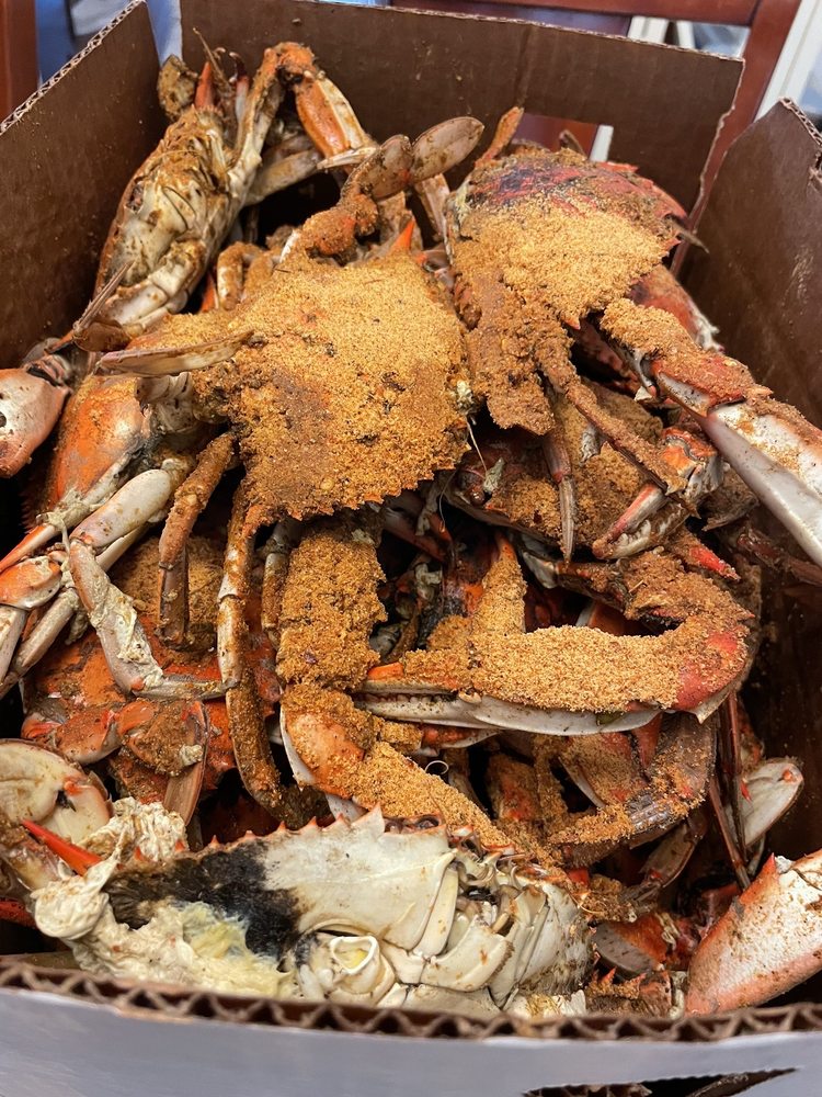 Hard Shell Hard Shell