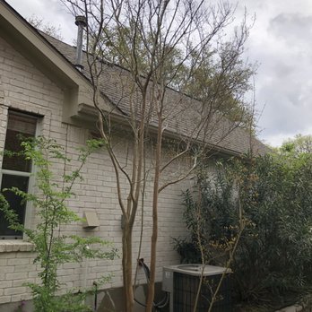 Aaron's Tree Service - Tree Services Near Me - Austin, Texas