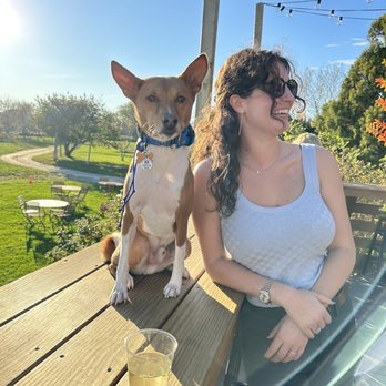 Training with Leah - Leah and Archer enjoying an off leash day at the Long Island vineyards. - Pet Training Near Me Training with Leah - Leah and Archer enjoying an off leash day at the Long Island vineyards. - Pet Training Near Me