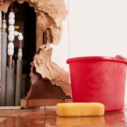 Expert Quincy Water Damage Repair