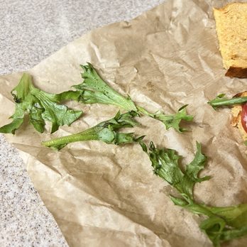 Panera Bread - The greens on the sandwich that were creepy and needed to be thrown out. - Sandwiches Near Me - La Quinta, California