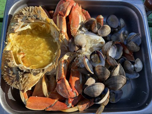 Kelly's Brighton Marina & Campground by null