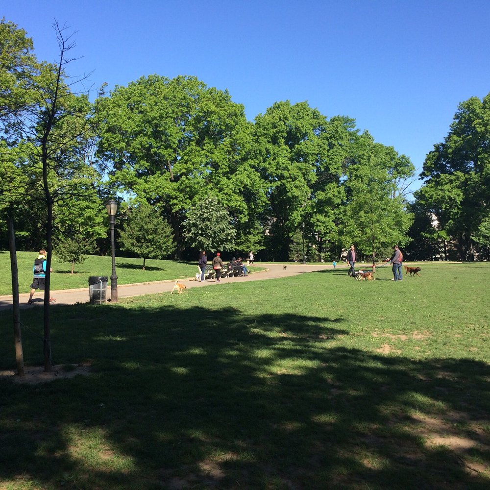 Mount Prospect Park - Playgrounds Near Me - Brooklyn, New York