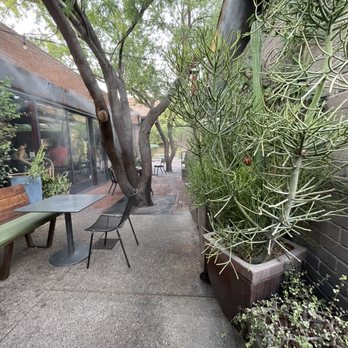 Churn - Cute outdoor back patio - Ice Cream & Frozen Yogurt Near Me - Phoenix, Arizona Churn - Cute outdoor back patio - Ice Cream & Frozen Yogurt Near Me - Phoenix, Arizona
