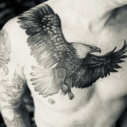 Dark Raine Tattoo - Bald Eagle