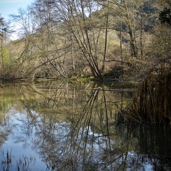 Lake Anza - 🌳Lake Anza🌳 - Lakes Near Me - Berkeley, California