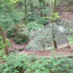 Haus Rott