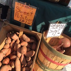 Organic Grown Direct - Spud love! Always have so many to for the community to come get