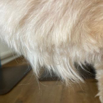 Paws 2 Groom - Pet Groomers Near Me - Longmont, Colorado Paws 2 Groom - Pet Groomers Near Me - Longmont, Colorado