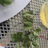 Urban Bricks Food Truck gift card
