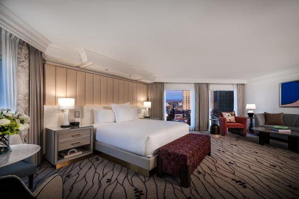 Bellagio Hotel & Casino by null