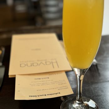 Havana - Mimosa - Cuban Near Me - Walnut Creek, California Havana - Mimosa - Cuban Near Me - Walnut Creek, California