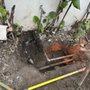 Photo of Sal Cal Plumbing and Drain