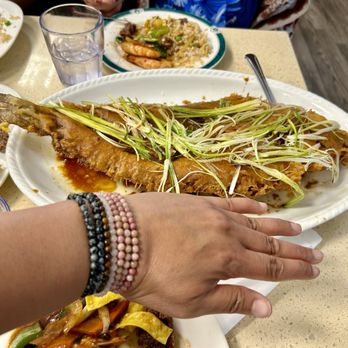 Red Maple Chinese Restaurant - Deep Fried Whole Flounder with soy sauce - Dim Sum Near Me - Taylorsville, Utah Red Maple Chinese Restaurant - Deep Fried Whole Flounder with soy sauce - Dim Sum Near Me - Taylorsville, Utah