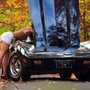 Photo of Xpress Car Care