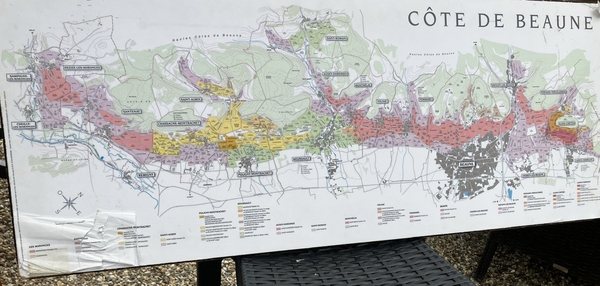 Puligny-Montrachet by null