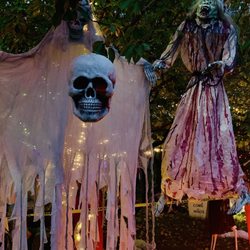 Wayne S Gangi, DMD - The best neighborhood Halloween display in New Jersey!