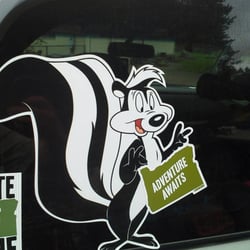 Animal Control Northwest - We love skunks!