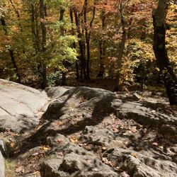 Monadnock State Park