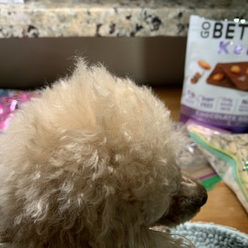 PetSmart Dog Training - Terrible haircut - Pet Stores Near Me - Reno, Nevada PetSmart Dog Training - Terrible haircut - Pet Stores Near Me - Reno, Nevada