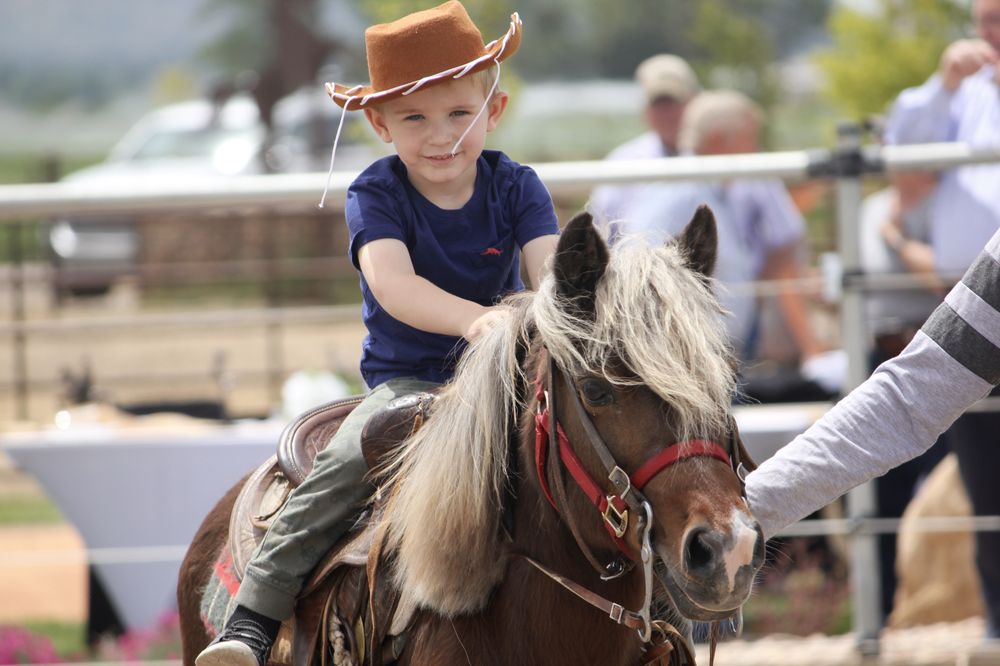 Travis Training Center - equestrian in American Fork, UT