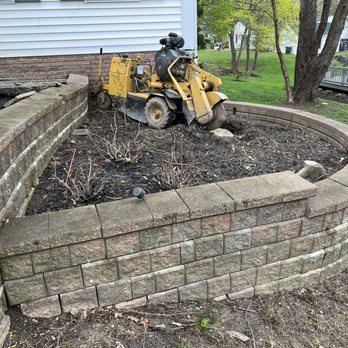 Ripley Stump Grinding - Tree Services Near Me - Chagrin Falls, Ohio Ripley Stump Grinding - Tree Services Near Me - Chagrin Falls, Ohio