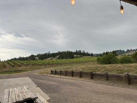 Lula Cellars by null